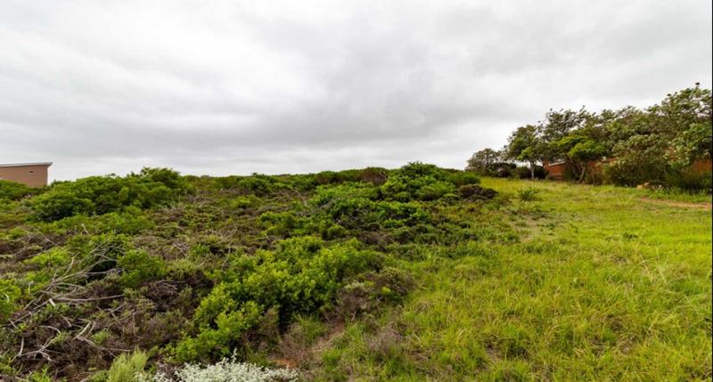 0 Bedroom Property for Sale in Dana Bay Western Cape